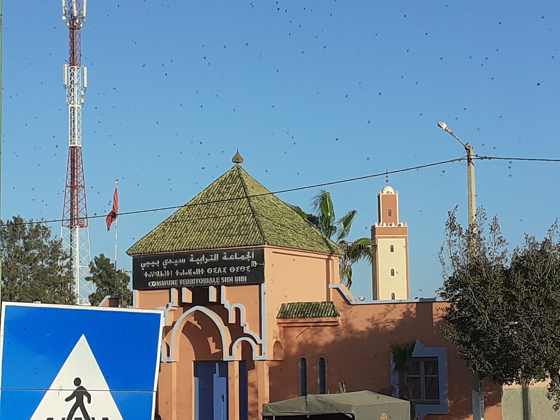 sidi bibi 2
